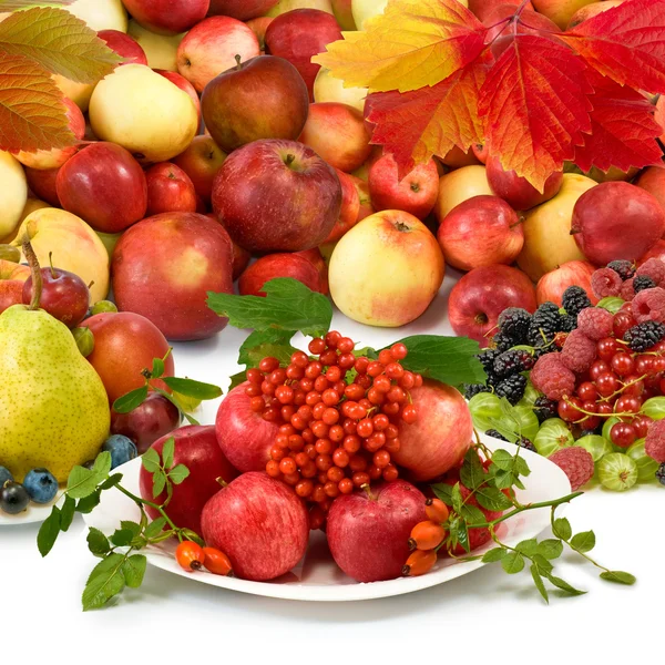 Different fruits closeup on white background — Stock Photo, Image