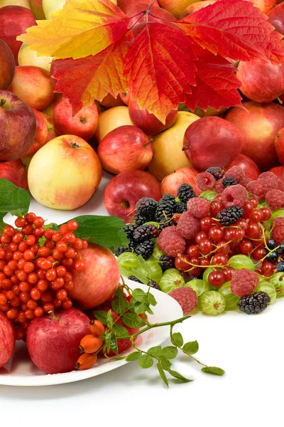 Different fruits closeup on white background — Stock Photo, Image