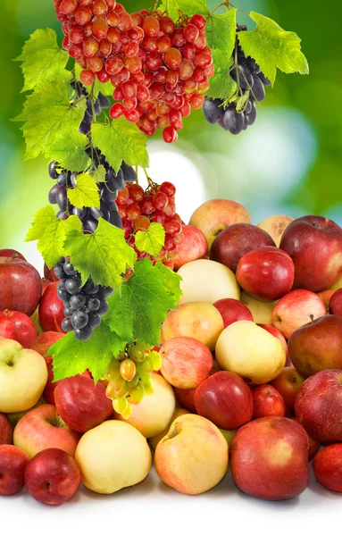 Яблоки и виноград на зеленом фоне — стоковое фото