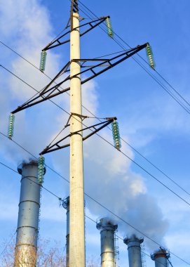 Bacalardan gelen sağlıksız duman