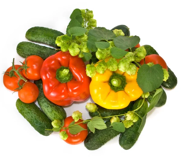 Wiele warzyw — Zdjęcie stockowe