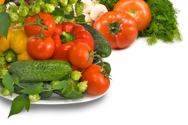 Vegetables on the plate on a white background closeup — Stock Photo, Image