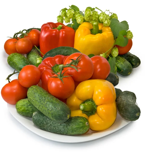 Muchas verduras frescas — Foto de Stock