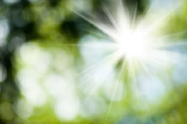 Image of the sun in the blurry natural green background closeup — Stock Photo, Image