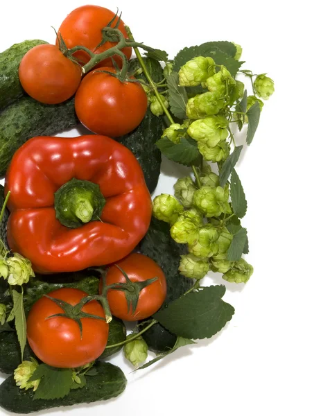 Imagen aislada de verduras sobre fondo blanco — Foto de Stock