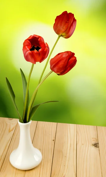 Tres flores tulipanes en un jarrón sobre un fondo verde — Foto de Stock