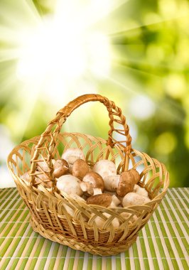 sepet içinde petrol