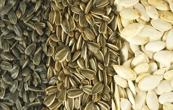 Verschillende zaden close-up — Stockfoto