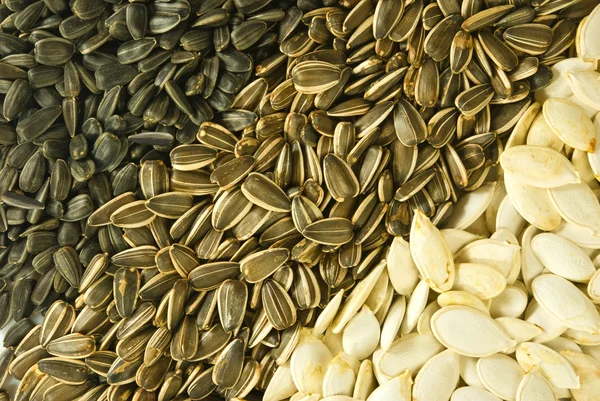 Afbeelding van verschillende zaden — Stockfoto