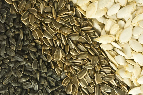 Различные семена крупным планом — стоковое фото