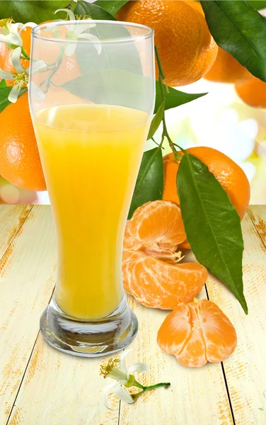 Juicy and tangerine close seup — стоковое фото