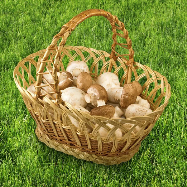 Baskets with mushrooms in the grass — Stock Photo, Image