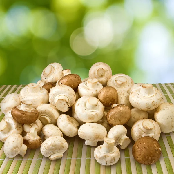 Veel van paddestoelen op een groene achtergrond — Stockfoto