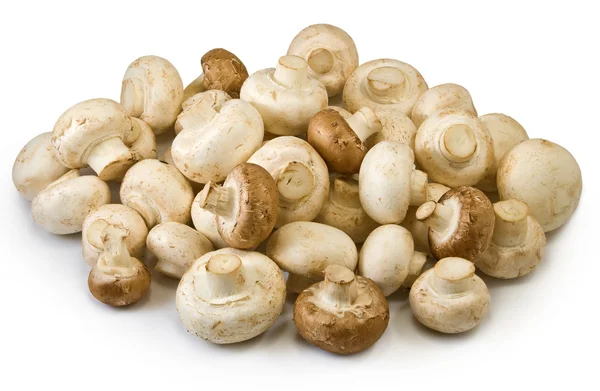 Immagine di molti funghi — Foto Stock