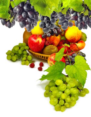 Farklı meyve tatlı