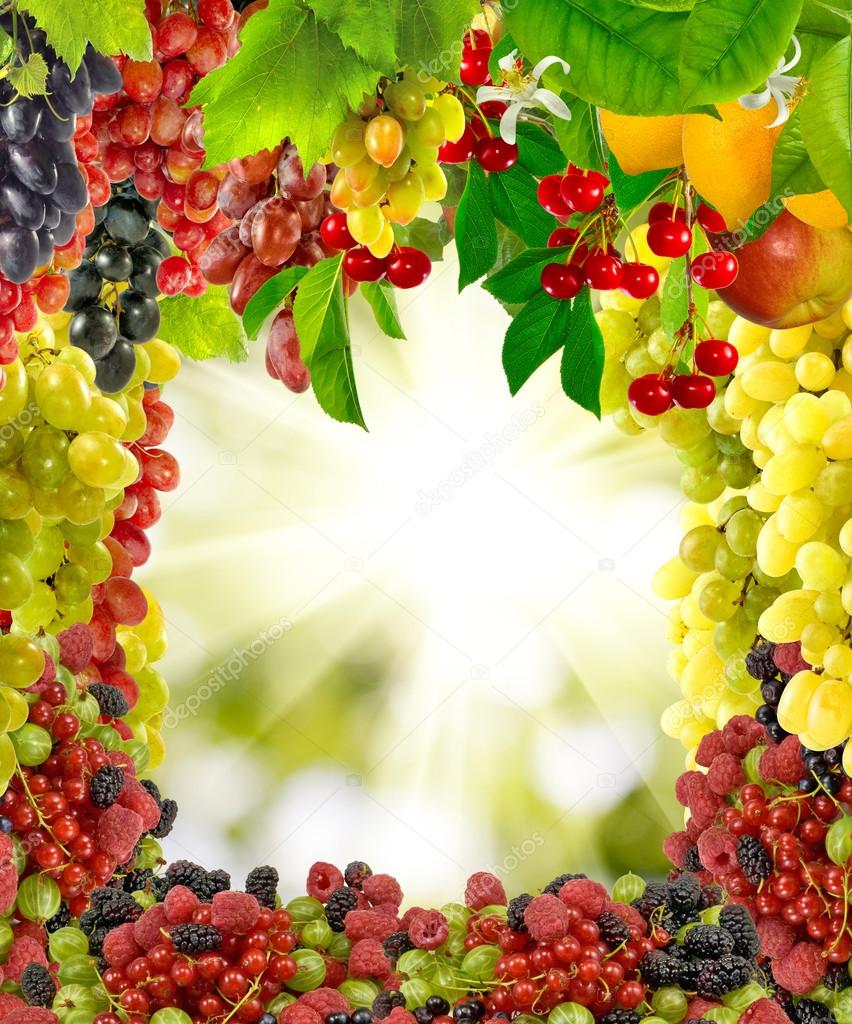 many fruits closeup