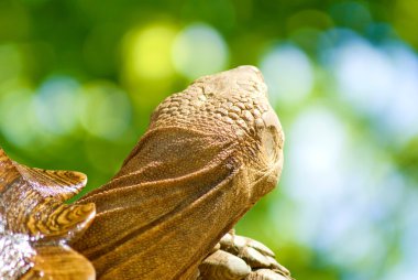Kaplumbağalar yeşil bir arka plan üzerinde