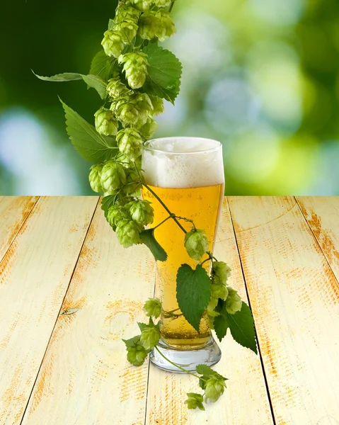 Canecas com cerveja e hop na mesa de madeira — Fotografia de Stock