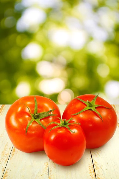 Tres tomates sobre un fondo verde — Foto de Stock