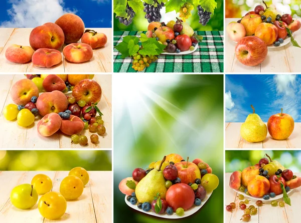 Various fruits and vegetables closeup — Stock Photo, Image