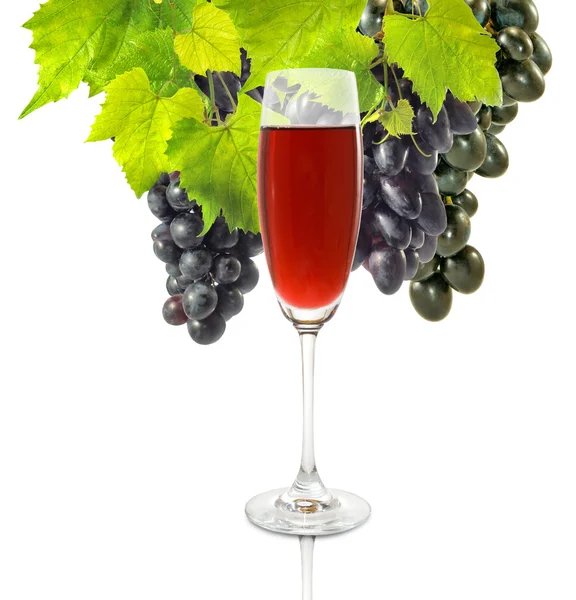 Glass of wine and grapes — Stock Photo, Image