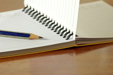 defter ve kalem portre
