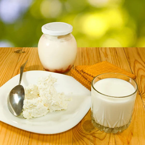 Afbeelding van zuivelproducten op een groene achtergrond — Stockfoto