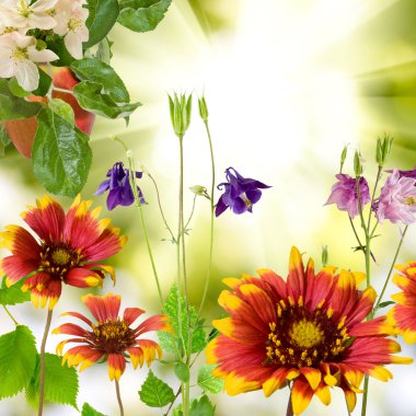 Parktaki güzel çiçekler. 