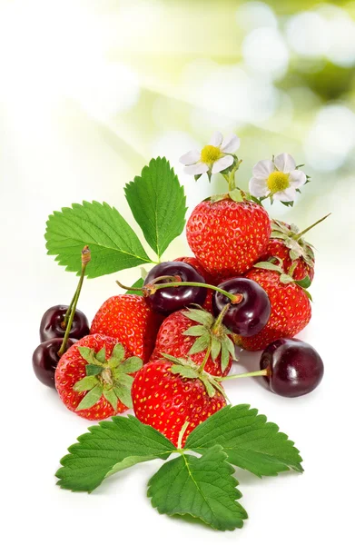 Ripe berries closeup — Stock Photo, Image