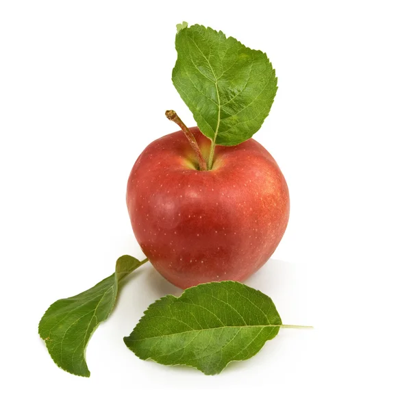 Ripe apple on a white background — Stock Photo, Image