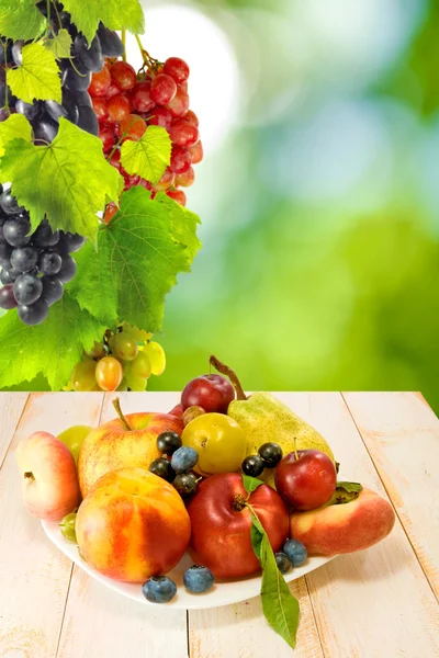 Different fruits on a green background — Stock Photo, Image