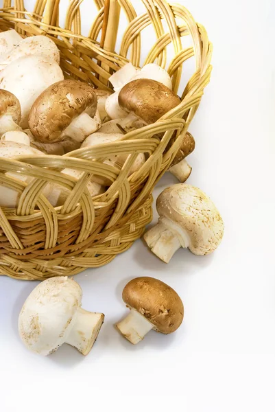 Mushrooms in basket — Stock Photo, Image