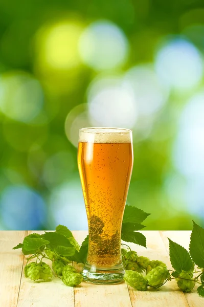 Tazas con cerveza y lúpulo —  Fotos de Stock