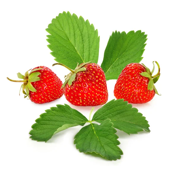 Fresas primer plano — Foto de Stock