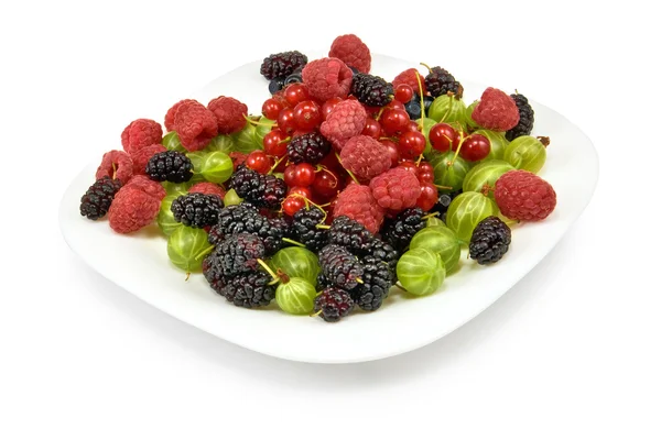 Different berries on a white background — Stock Photo, Image