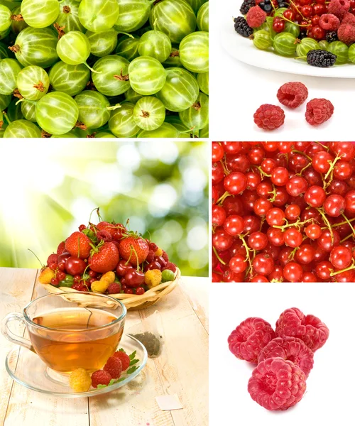 Various ripe berries on a white background — Stock Photo, Image