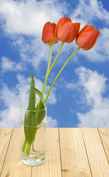 Flores tulipanes en un jarrón —  Fotos de Stock