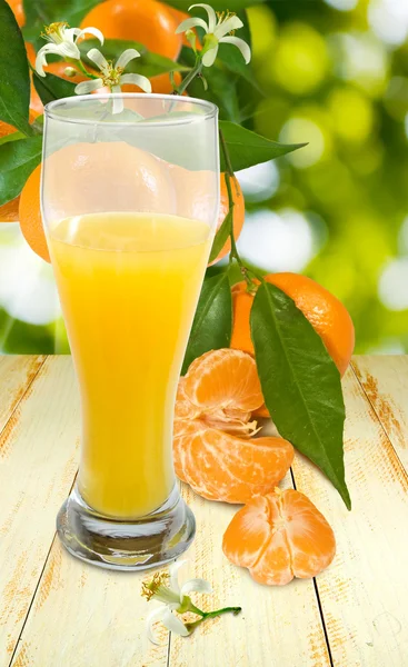Image of juicy and tangerine — Stock Photo, Image