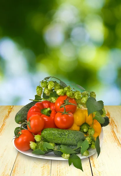 Imagem de verduras — Fotografia de Stock