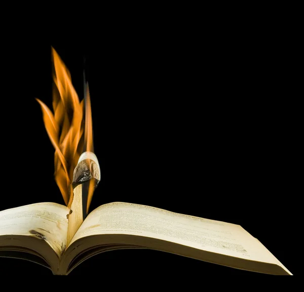 Bilden av att bränna böcker — Stockfoto