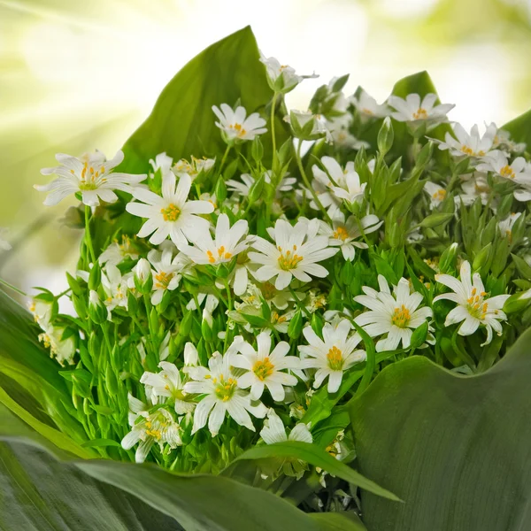 Bouquet against the sun — Stock Photo, Image