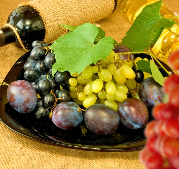 Изображение винограда и бутылок с красным и белым вином — стоковое фото