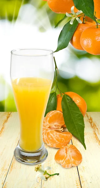 Image of juicy and tangerine — Stock Photo, Image