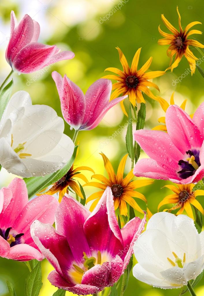 afbeelding van verschillende mooie bloemen — stockfoto © cooperr007