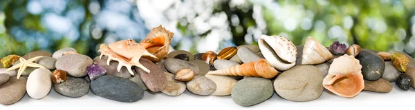 Piedras y conchas sobre un fondo verde —  Fotos de Stock