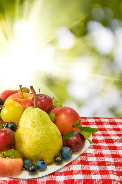 Different fruits on the table against the sun — Stock Photo, Image