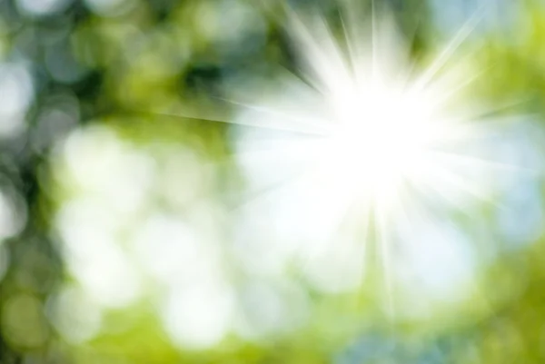 The sun on a green background closeup — Stock Photo, Image