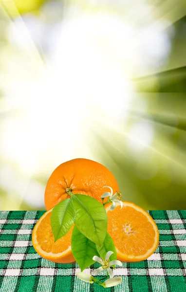 Görüntü masada portakal — Stok fotoğraf