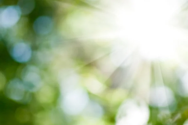 Sun in the blurry natural background — Stock Photo, Image