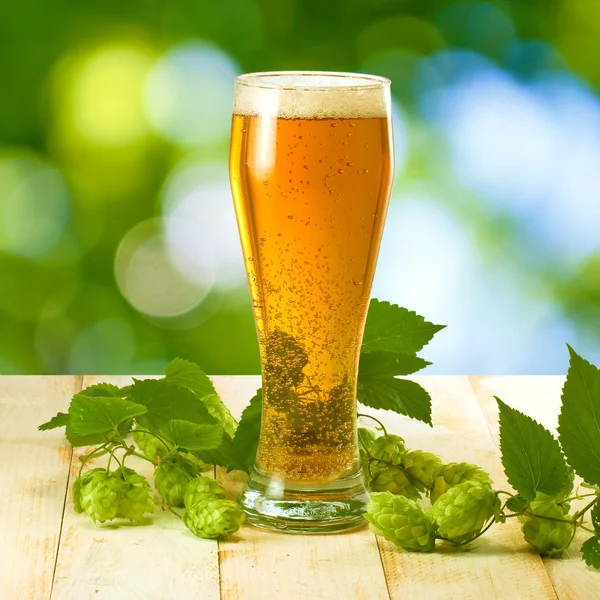 Muggar med öl och hop — Stockfoto